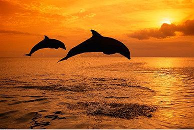 《塞伯利亚之谜：复刻版》公布 以全新面貌重现经典